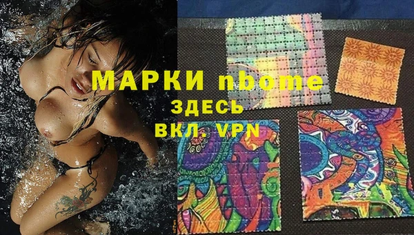 сатива Белокуриха