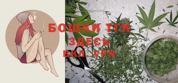 сатива Белокуриха
